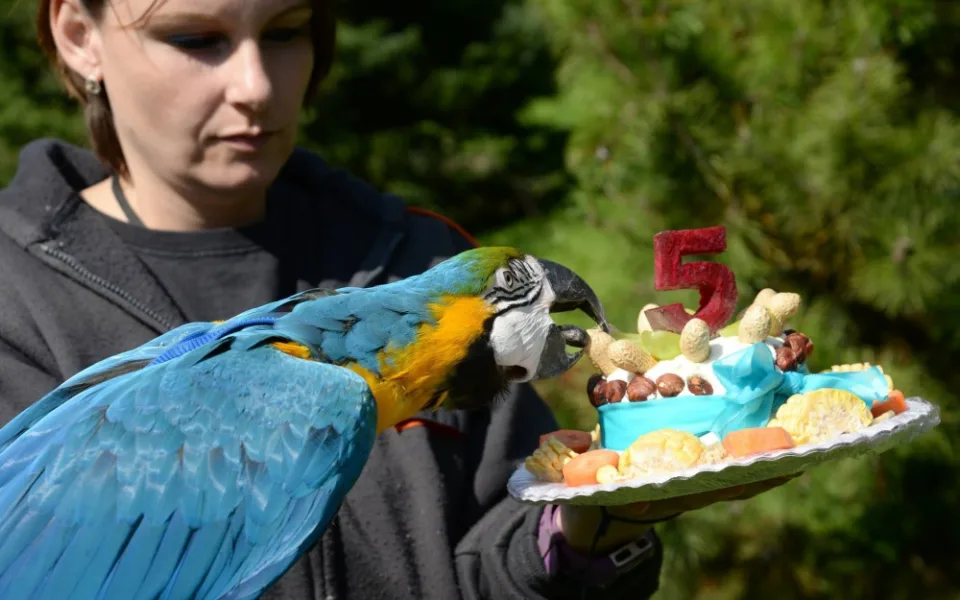 Papoušci v olomoucké zoo mají novou voliéru