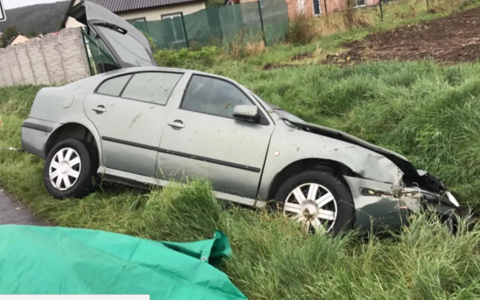 U Tovéře se srazilo auto s koněm. Řidič a jezdkyně se zranili, kůň zahynul