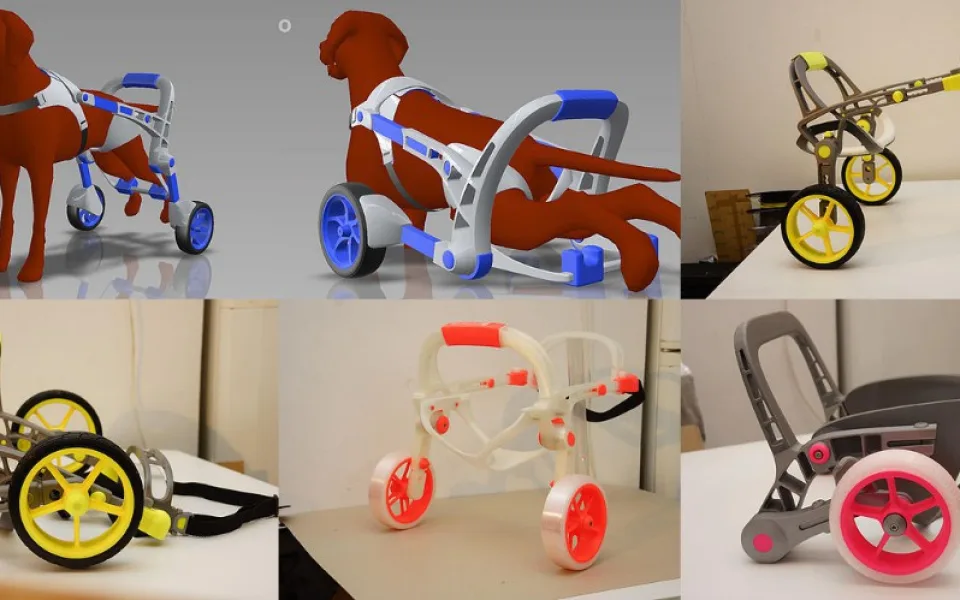 Český start-up AnyoneGo vyvíjí invalidní vozíky pro zvířata. Vyrábí je na míru ve 3D tiskárnách