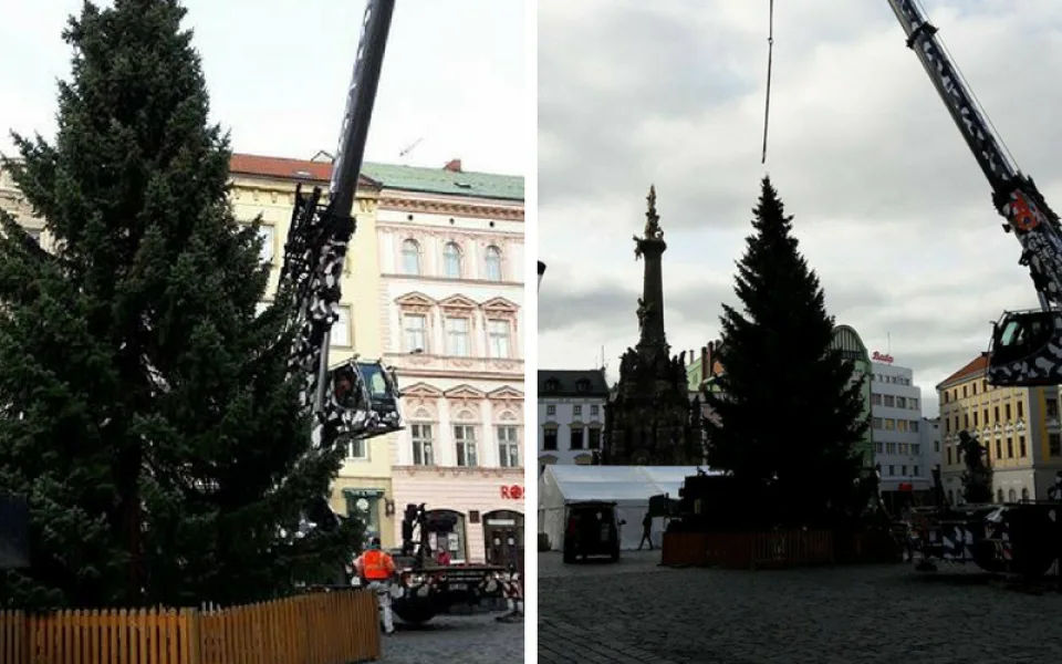 ANKETA: Horní náměstí už zdobí vánoční strom. Líbí se vám?