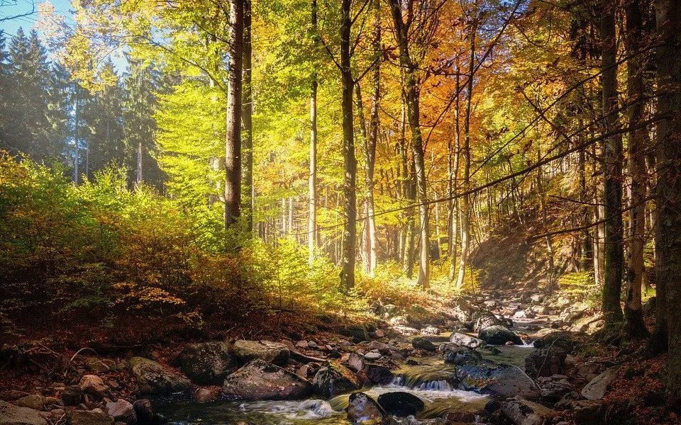 ilustrační fotografie