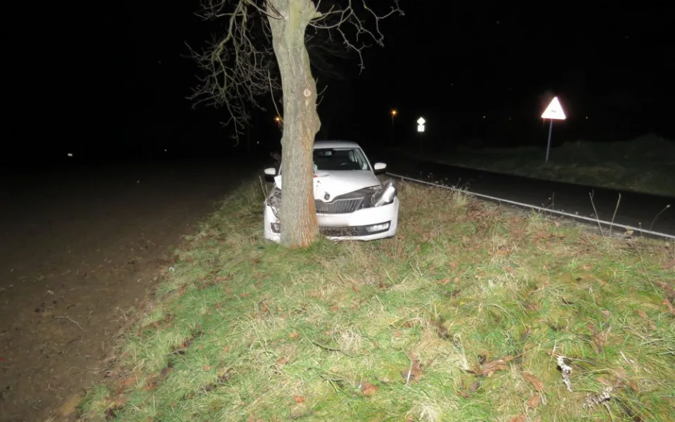Řidiči vběhla před auto divoká zvěř. Nezvládl své vozidlo a narazil do stromu