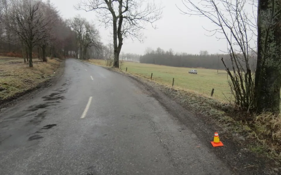 Řidička se svým autem vyletěla ze zatáčky, prorazila ohradník a skončila na pastvině