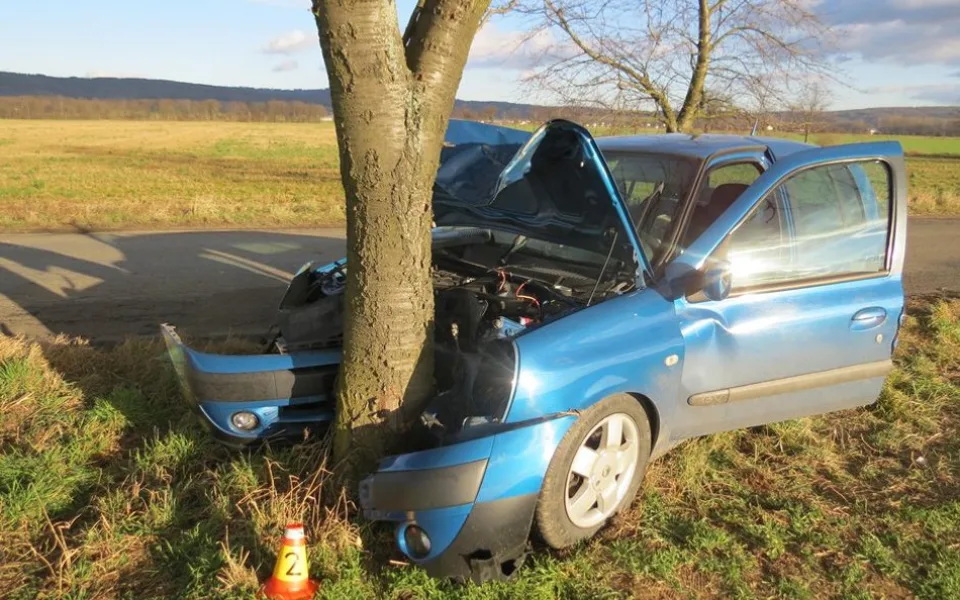 Padesátiletá řidička se chtěla vyhnout srně a čelně narazila do stromu