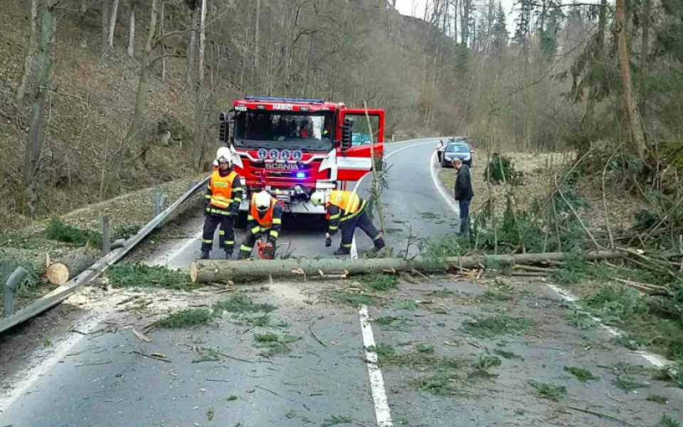 Silný vítr opět zaměstnává hasiče, většinou jde o spadané stromy