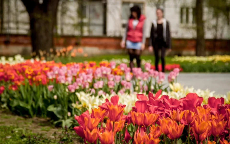 SOUTĚŽ: Jarní Flora slaví šedesáté výročí. Tady je hned patnáct důvodů, proč ji navštívit