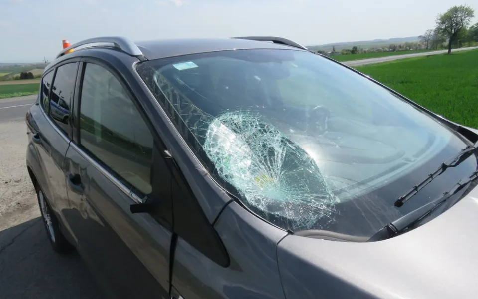 FOTO: Policisté ve středu zasahovali u dvou střetů auta se zvěří