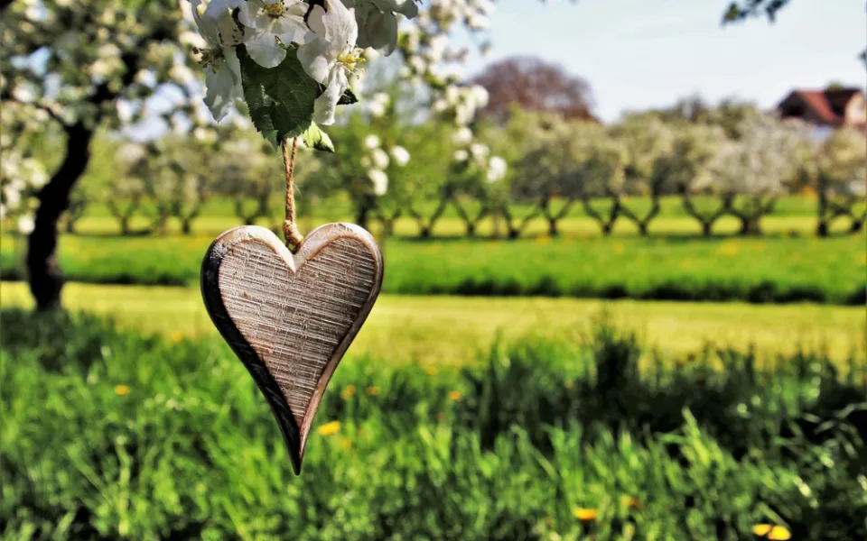spring-3355416_1280