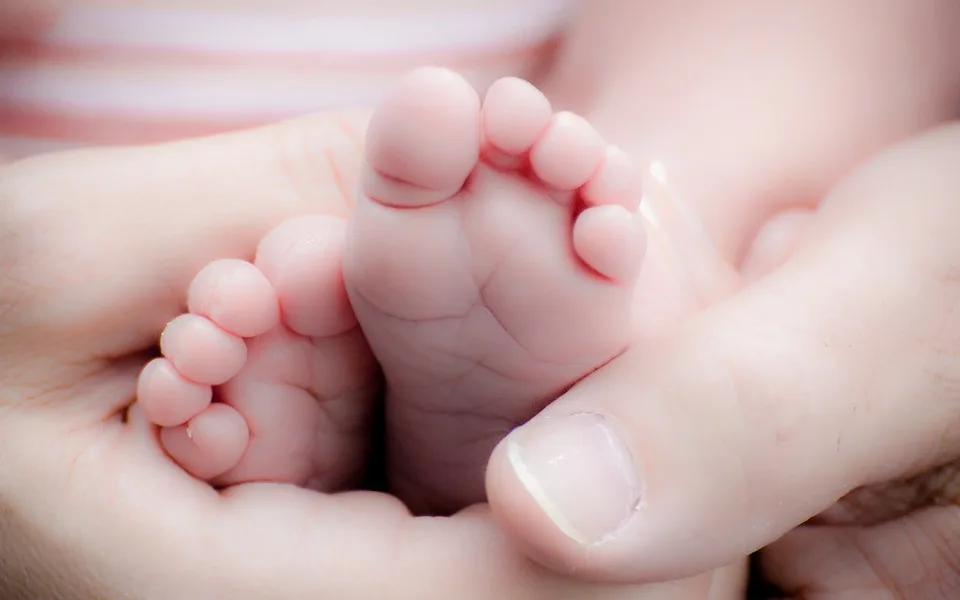 Darováním cytoplazmy pomůžete neplodným párům k vytouženému miminku