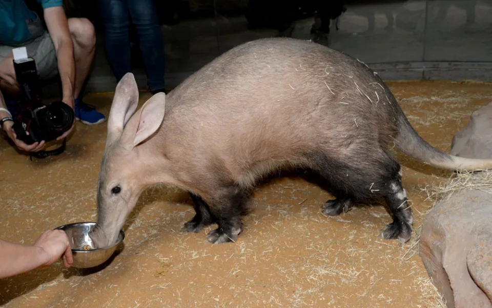 Olomoucká zoo otevřela nový pavilon za patnáct milionů
