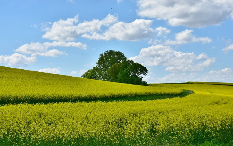 ilustrační fotografie