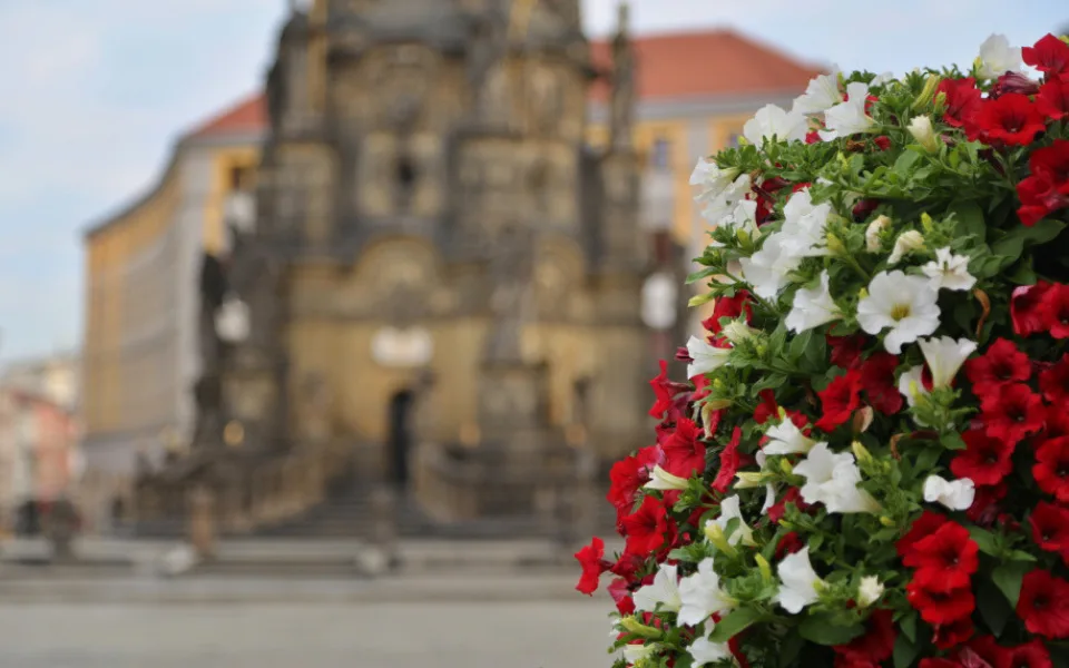 Centrum města zdobí květinové pyramidy, připomínají 100. výročí Československa