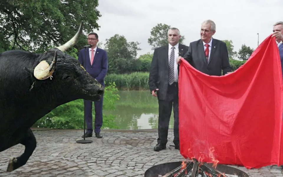 FOTO: Internetové vtípky na prezidentovo veřejné pálení trenýrek