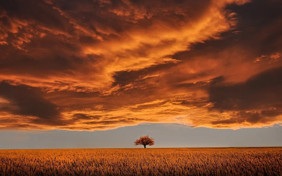 ilustrační fotografie