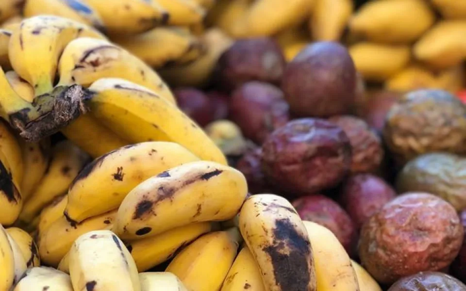 V areálu Letního kina se bude ochutnávat exotické ovoce, Virunga doveze annony, dračí ovoce i jackfruity