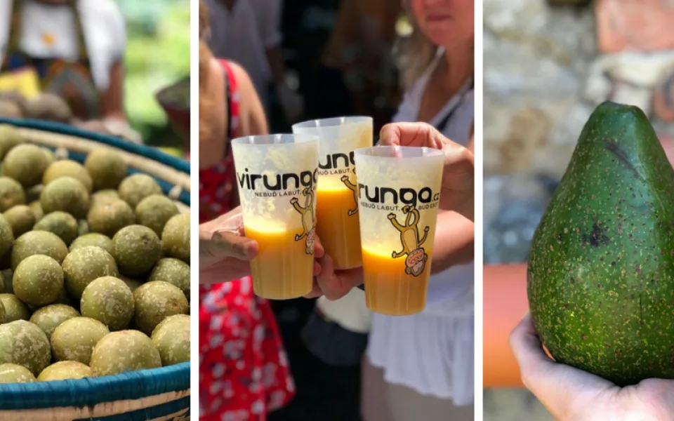 FOTOGALERIE: Jackfruit, baby banány nebo drink z cukrové třtiny. Olomoučané v neděli ochutnávali Afriku
