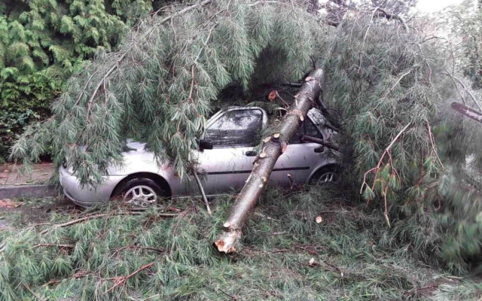 FOTO: Prostějovem se prohnala silná bouřka, stromy padaly i na auta