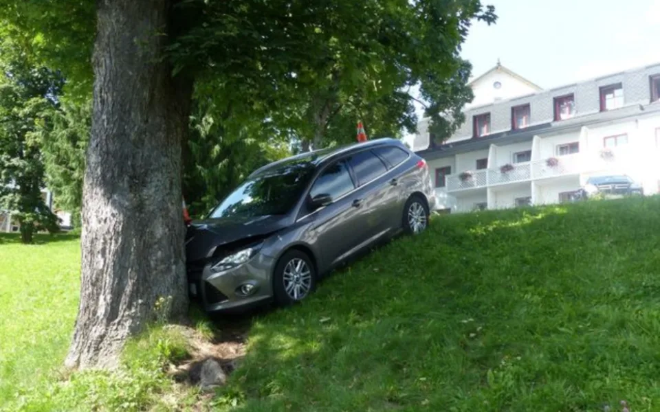 Muž zaparkoval auto, ale nezabrzdil, rozjelo se z kopce a narazilo do stromu. Zranily se v něm dvě děti