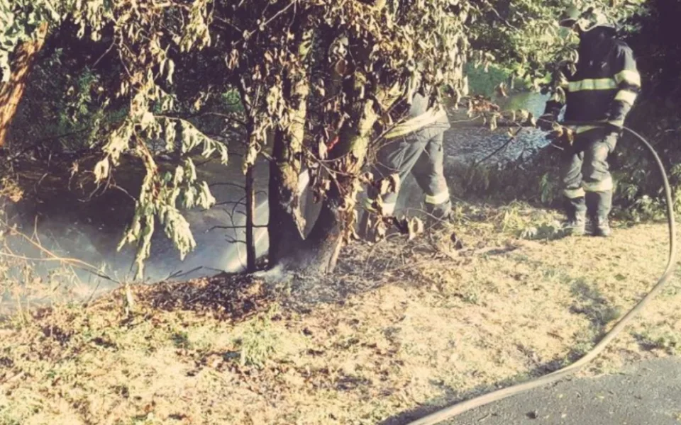 Požár trávy a stromků likvidovaly dvě jednotky hasičů