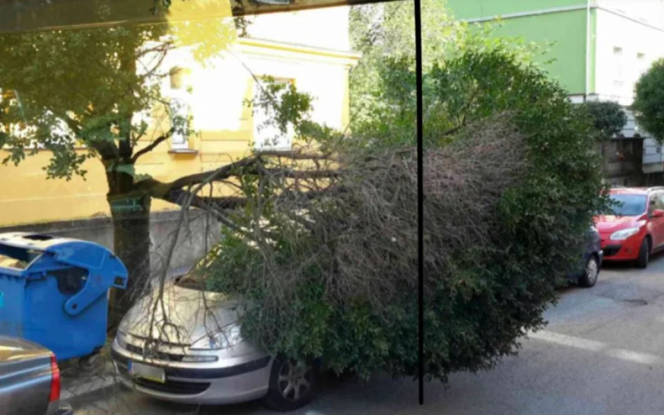V Polívkově ulici spadla prasklá část stromu na auto, odklidit ji museli hasiči