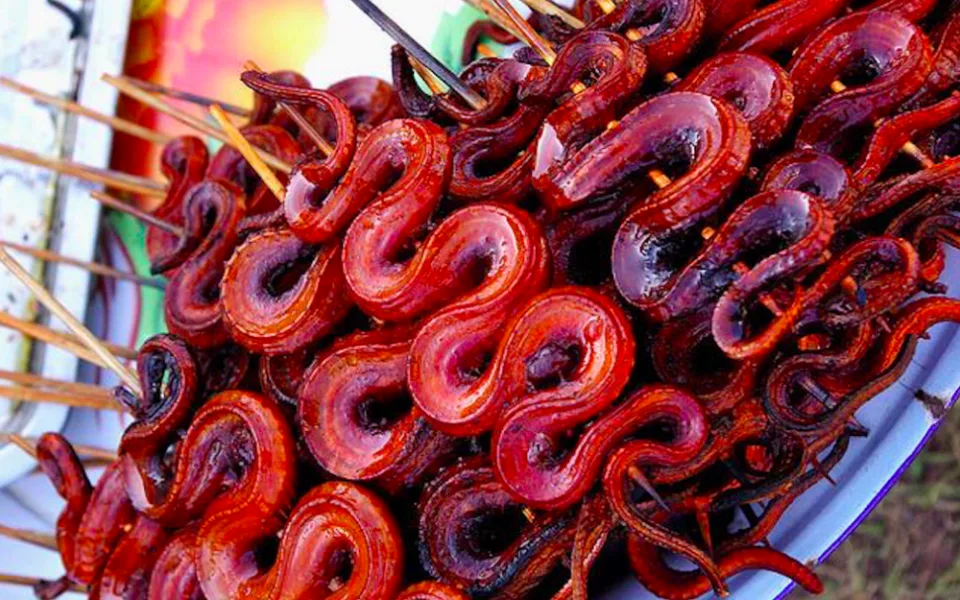 Na olomouckém Extreme Food Festivalu budete moci ochutnat hady nebo pečená holoubata