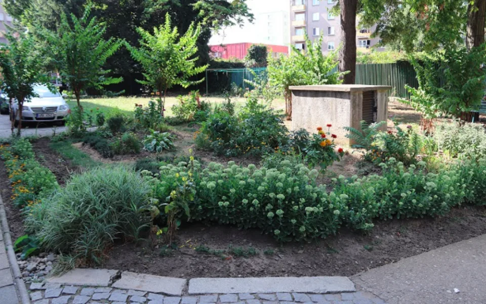 Ve vyhlášení předzahrádky roku se letos objeví jen dvě místa, podle odborníků byla úroveň ročníku nízká