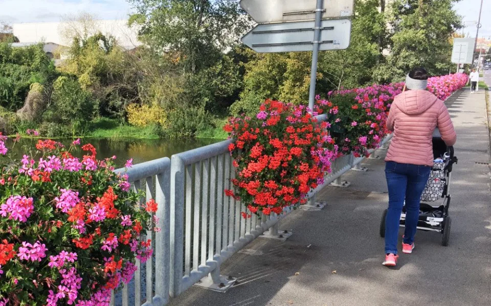 Inspirace ze Znojma – květiny na zábradlích mostů