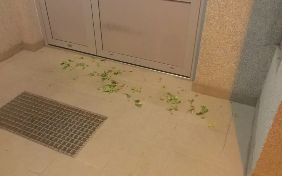 Seniorka sypala před dům na Lazecké starou zeleninu, chleba, hlínu a listí