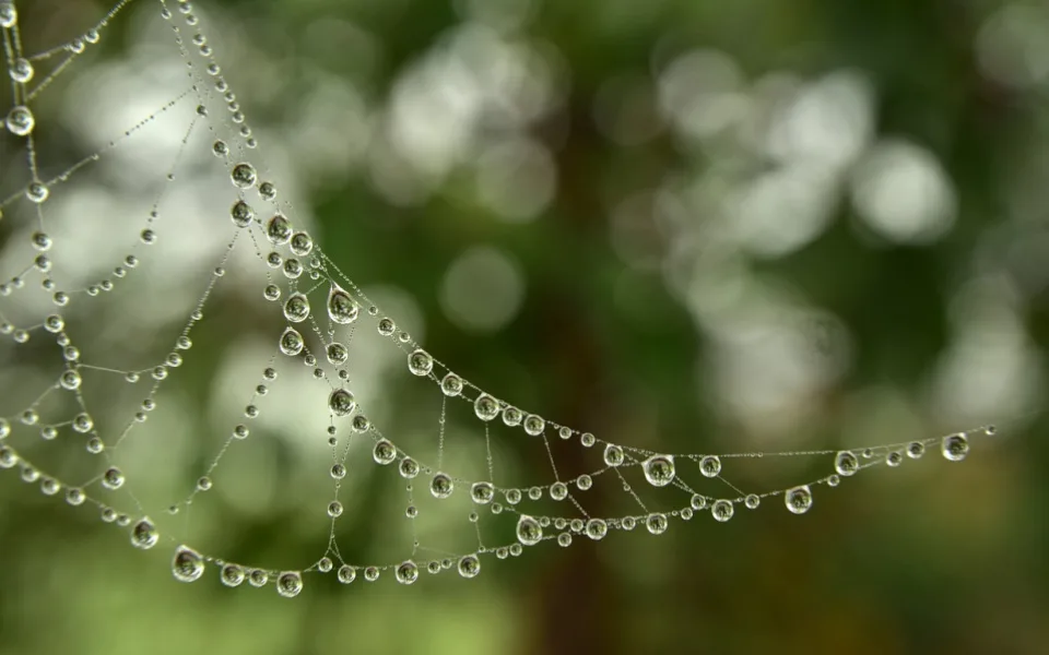 ilustrační foto
