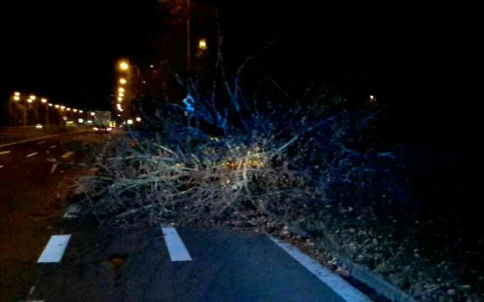 FOTO: Hasiči v noci zasahovali u čtyřiceti případů, silný vítr láme stromy a situace se neuklidňuje