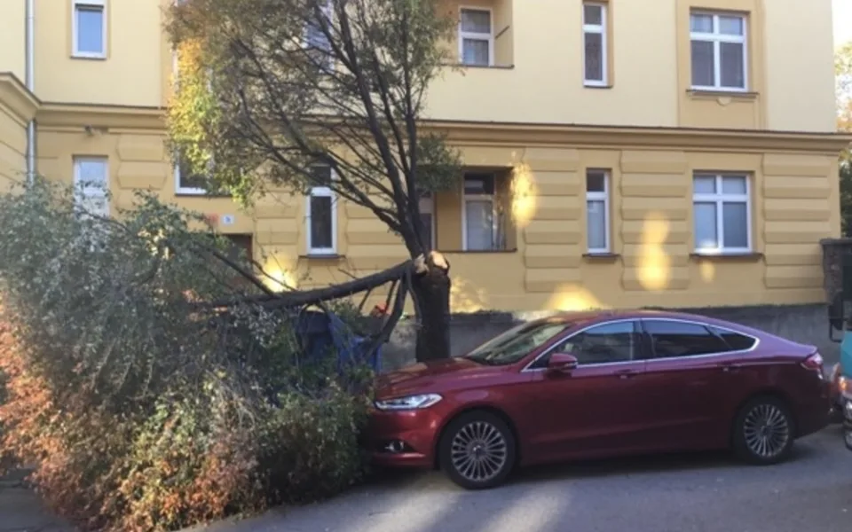 FOTO: Včerejší silný vítr zaměstnával policisty, vyjížděli k popadaným stromům i reklamním tabulí