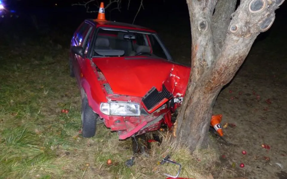 Řidička dostala mikrospánek a narazila do stromu. Ona i spolujezdkyně skončily v nemocnici