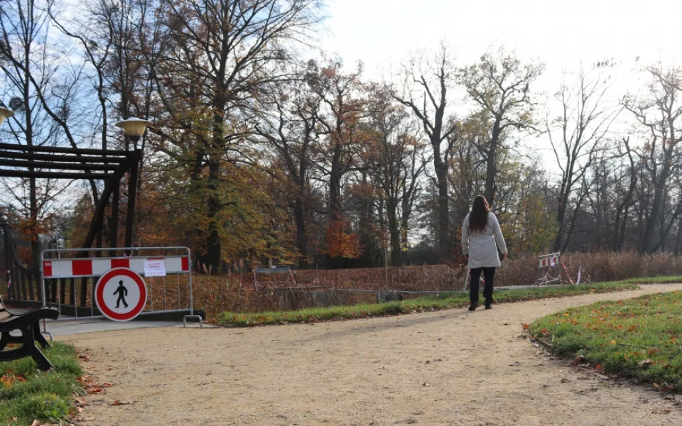 Dřevomorka zničila mosty v parku. Město zaplatí za opravu dvojnásobek