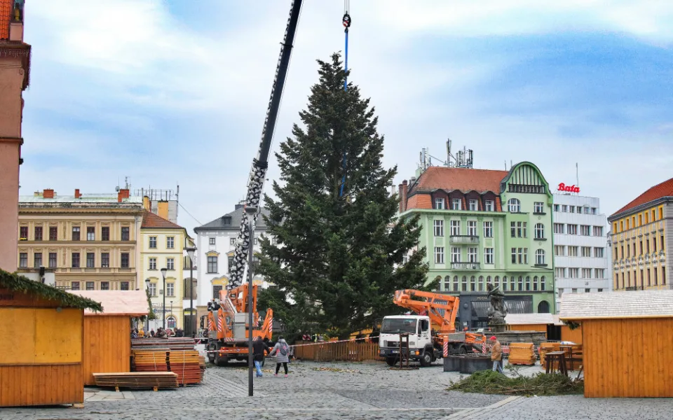 FOTO/VIDEO: Na náměstí už stojí vánoční stromeček. Jméno se dozvíme při pátečním rozsvěcení