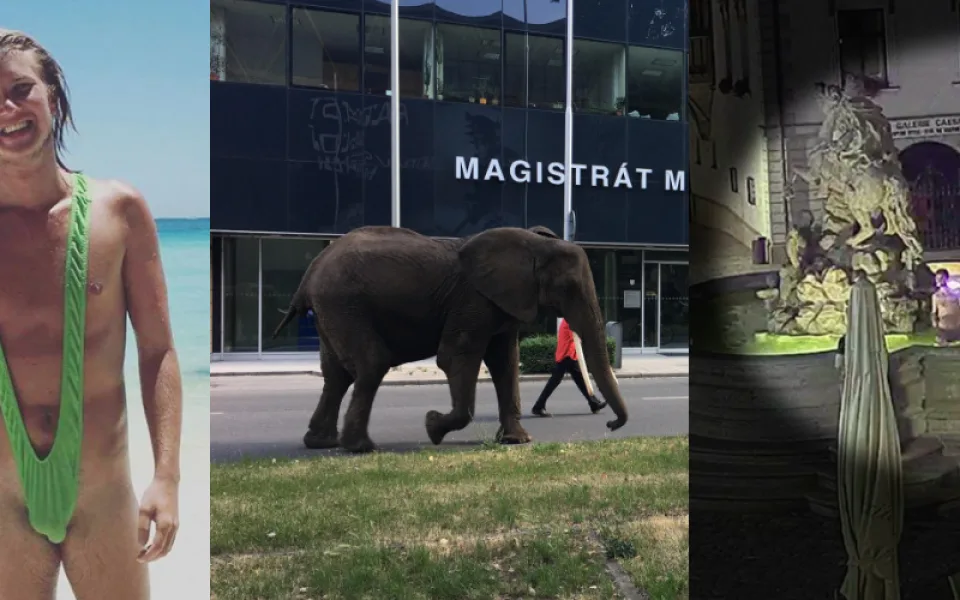TOP 10 zásahů olomouckých strážníků za rok 2018: Zmatený Borat, sloni v centru nebo koupel v kašně