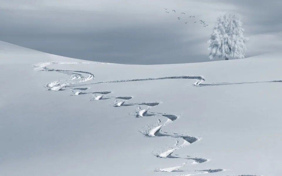 ilustrační foto