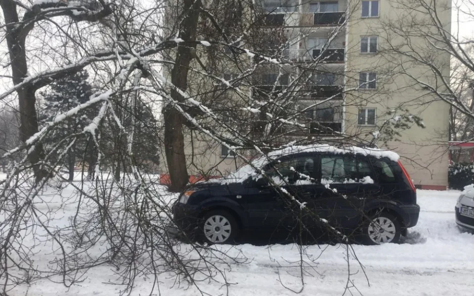 V Pionýrské ulici se pod tíhou sněhu ulomila větev a spadla na zaparkované auto