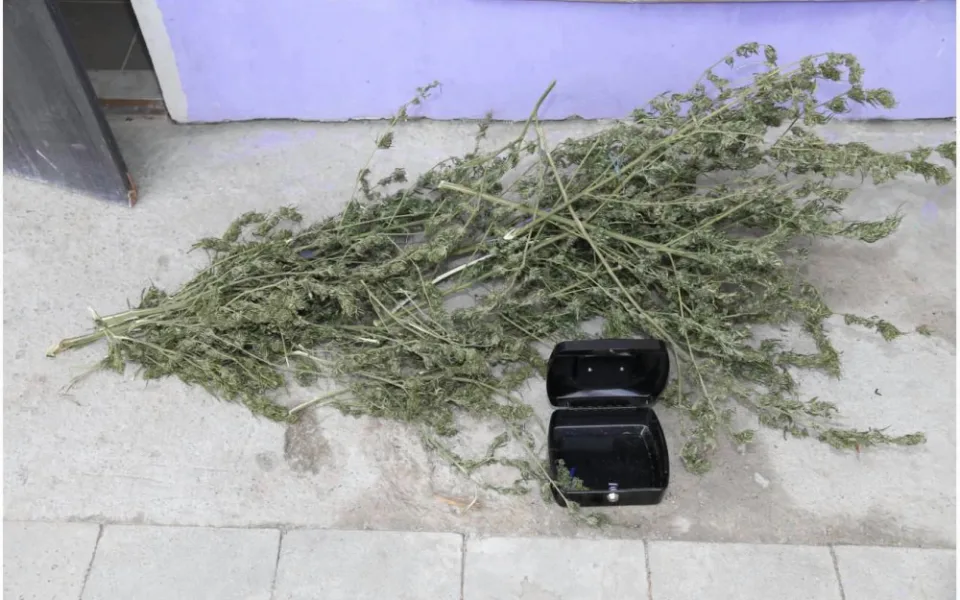 Policie zadržela dealera drog přímo na náměstí
