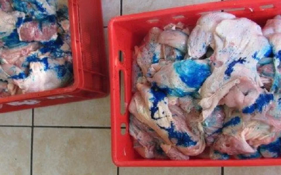 Kontroloři odhalili další problematické maso z Polska. Stovky kilo drůbežího a vepřového doputovaly na Moravu