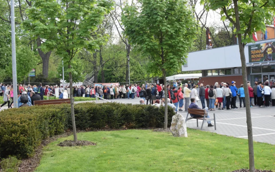 Konec veteše na Floře Olomouc. Město reaguje na kritiku úrovně květinové výstavy
