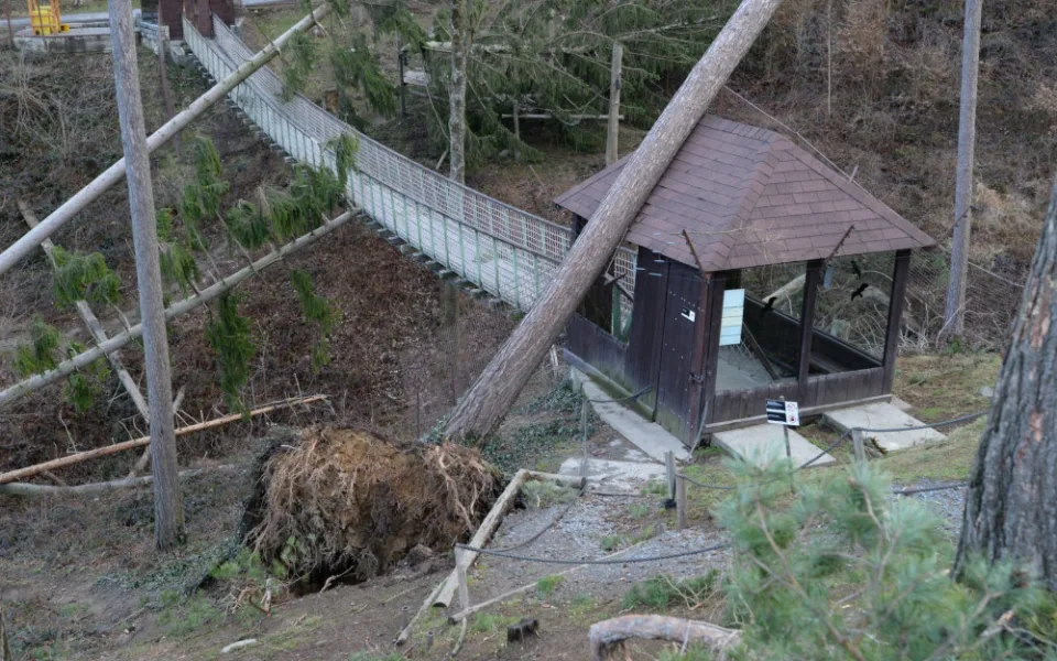 AKTUÁLNĚ: Olomoucká zoologická zahrada zůstává kvůli kalamitě zavřená