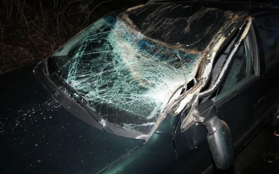 Strom spadl na projíždějící auto. Poškodil střechu a rozbil přední sklo