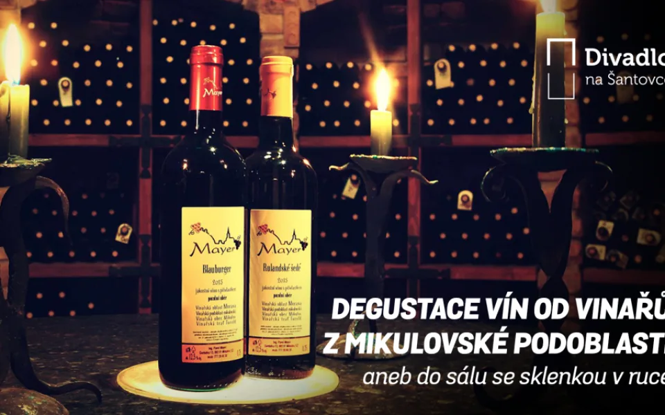 V Divadle na Šantovce budou probíhat degustace vín. Sklenku s vaším favoritem si pak můžete vychutnat během představení