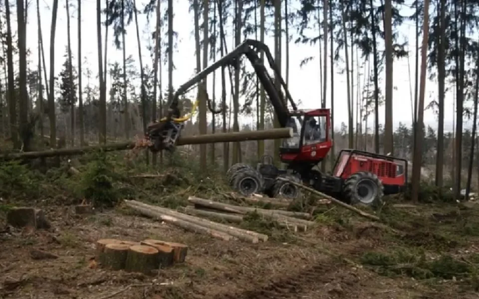 VIDEO: Odstraňování škod v olomoucké zoo bude trvat několik měsíců