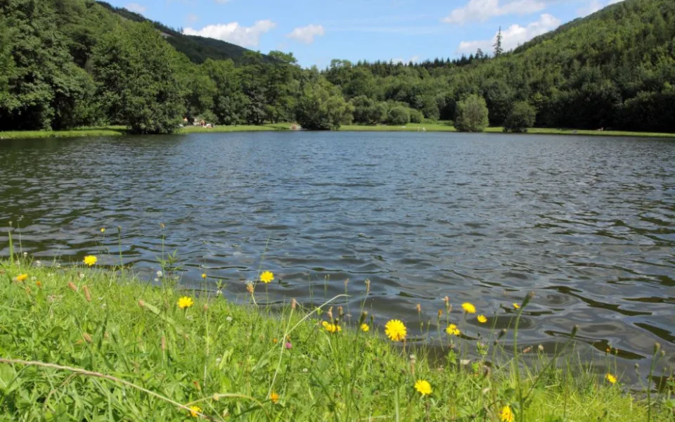 Šternberk zvelebí oblíbené oblasti okolo rybníka v Dolním Žlebu