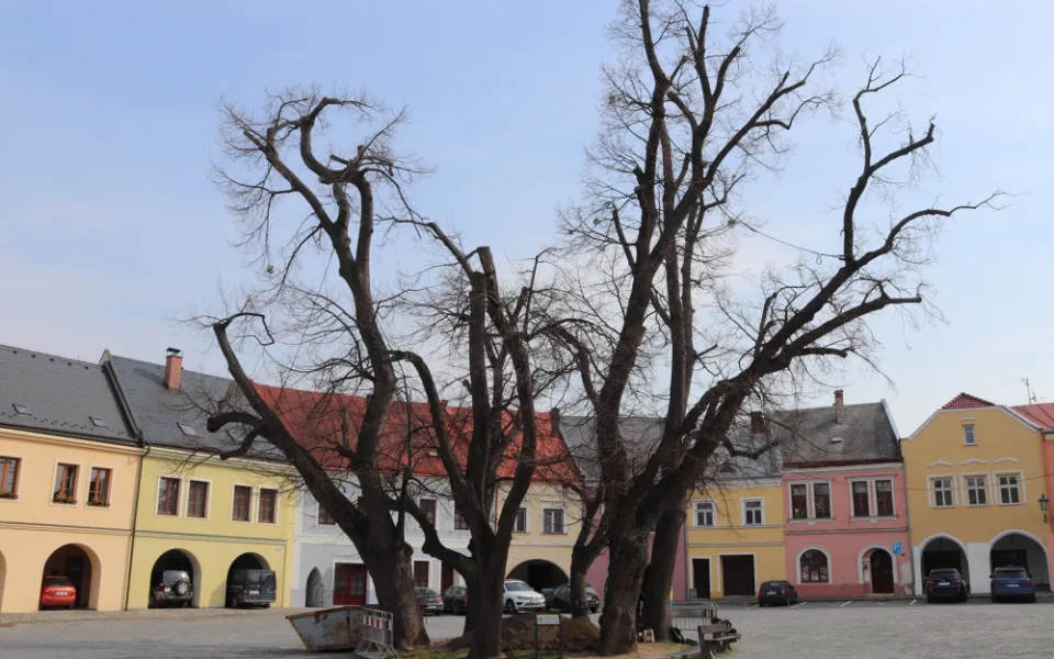 Na Horním náměstí v Přerově zkoumají archeologové studnu. Zatím narazili na zákopové desky a mince