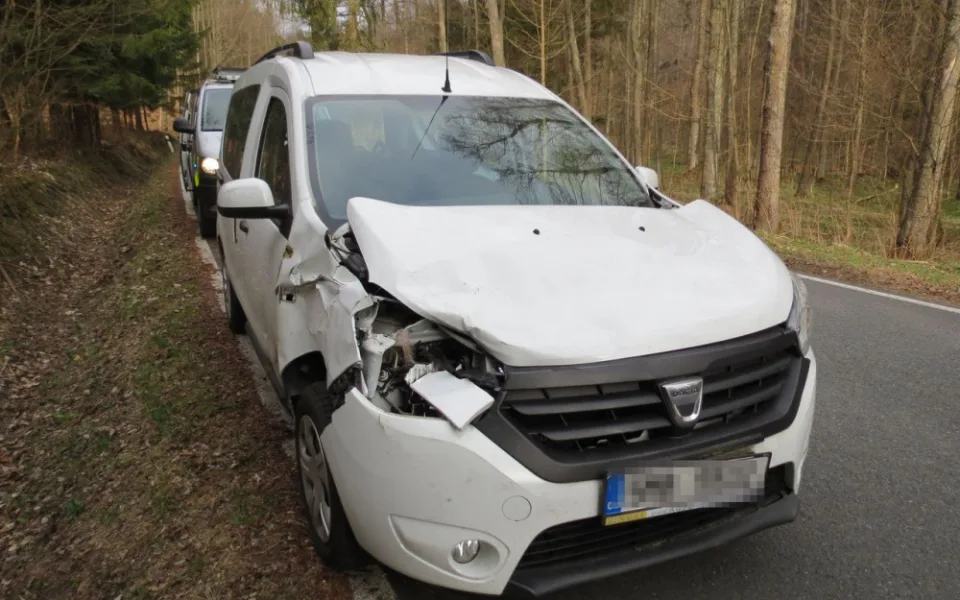 Přibývá střetů aut s lesní zvěří. Včera řidiči vběhla do cesty srna, na místě uhynula