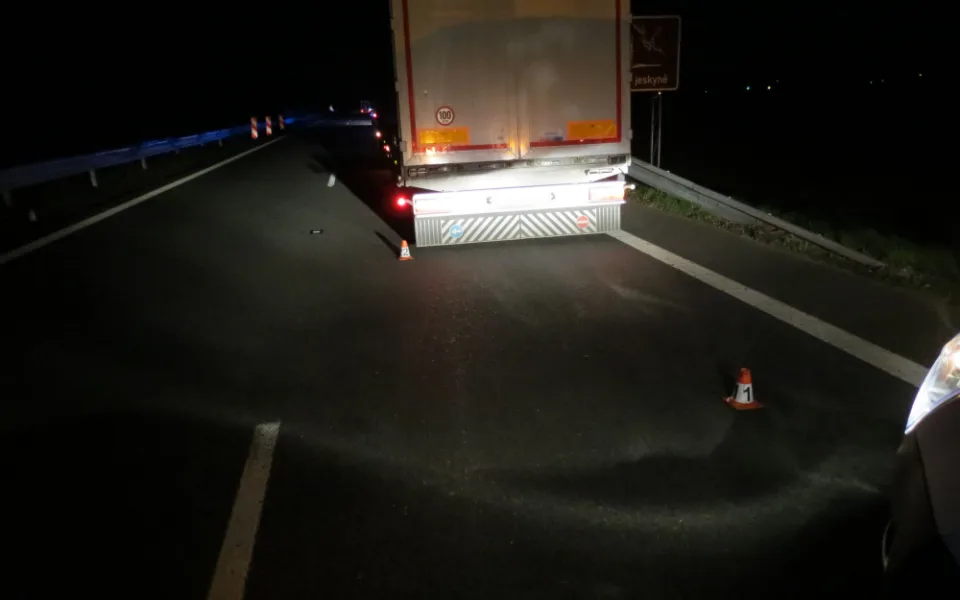 Řidiči kamionu vběhli pod kola dva jeleni, kteří zahynuli. Na autě vznikla škoda za sto dvacet tisíc