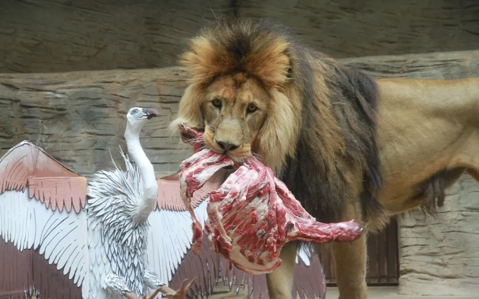 Olomoucká zoo připravila pro návštěvníky velikonoční program