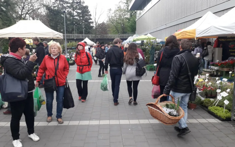 ČOI na Floře zjistila prohřešky u téměř poloviny kontrolovaných prodejců